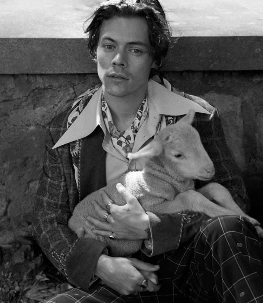 Gucci Resort 2019 Men's Tailoring Ad Campaign Featuring Harry Styles ...