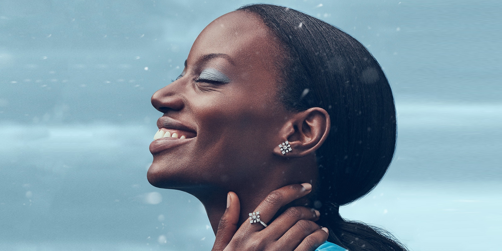 MAISON BIRKS SNOWFLAKE HIGH JEWELRY COLLECTION