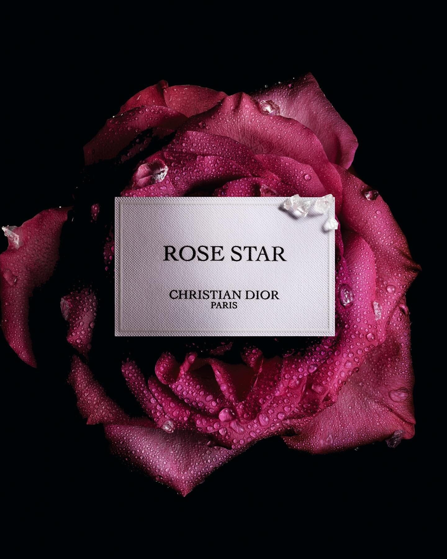 CHRISTIAN DIOR LA COLLECTION PRIVÉE ROSE STAR FRAGRANCE (2)