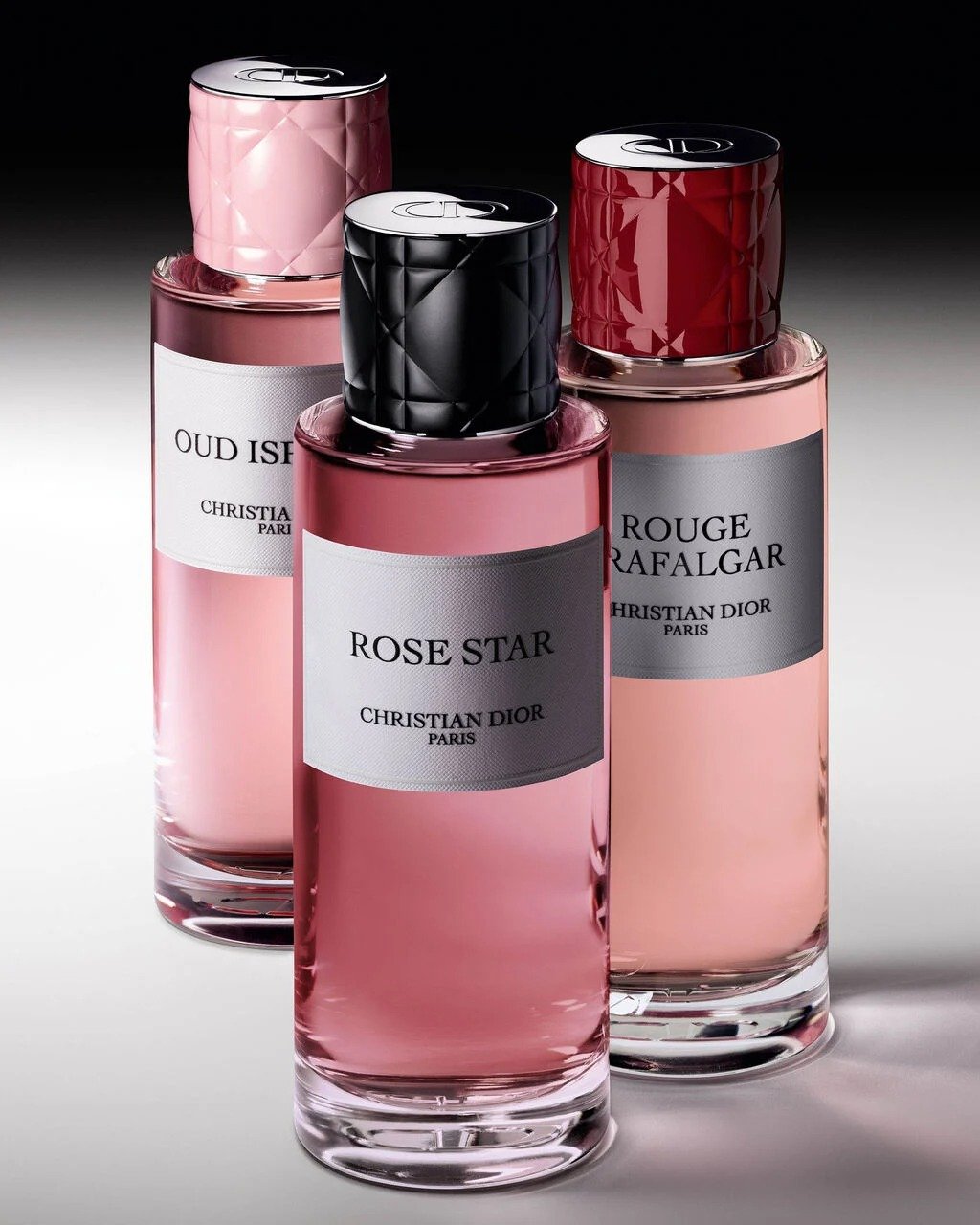 CHRISTIAN DIOR LA COLLECTION PRIVÉE ROSE STAR FRAGRANCE (3)